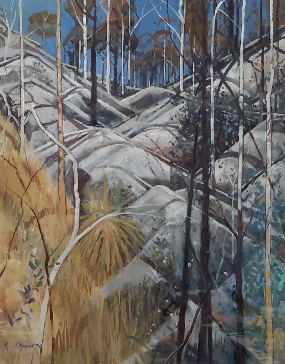 Neville Connor - Fine Arts Studio - White rock ridge