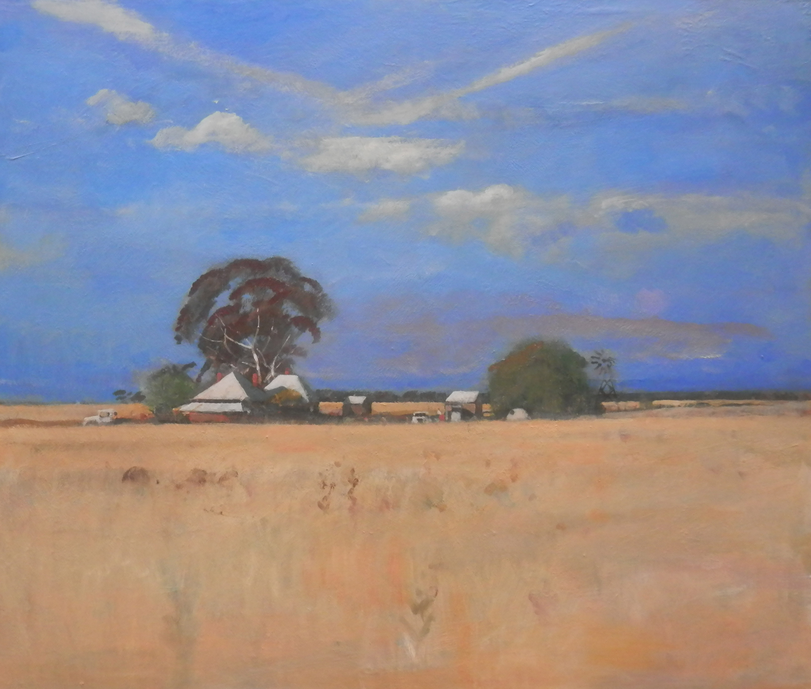 Neville Connor - Fine Arts Studio - Summer evening, Hay plains
